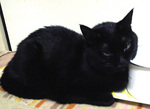qoo_091110.jpg