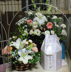 zabi081106.jpg