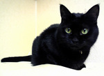 qoo091123.jpg