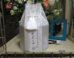 zabi08110501.jpg